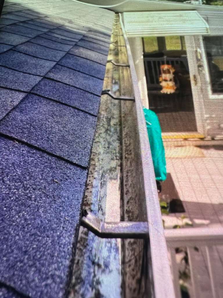 Gutter Cleaning AFTER!